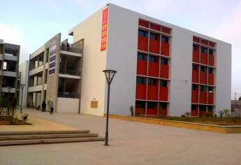 Les étudiants de l’Université Ibn Zohr : Amis de l’arganier !