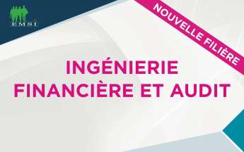 Groupe EMSI Lance l'Ingénierie Financière et Audit