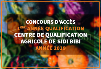 Concours d’accès en 1ère année niveau Qualification au Centre de Qualification Agricole Sidi Bibi 2019