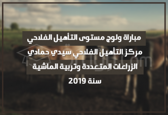 مباراة ولوج مستوى التأهيل الفلاحي في الزراعات المتعددة وتربية الماشية بمركز التأهيل الفلاحي سيدي حمادي 2019
