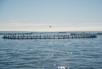 ITSHC Ait Melloul Concours d'accès à la formation de technicien spécialisé 2024-2025
