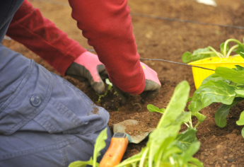 فتح باب الترشيح لولوج مركز التأهيل الفلاحي بوالماس 2025-2026