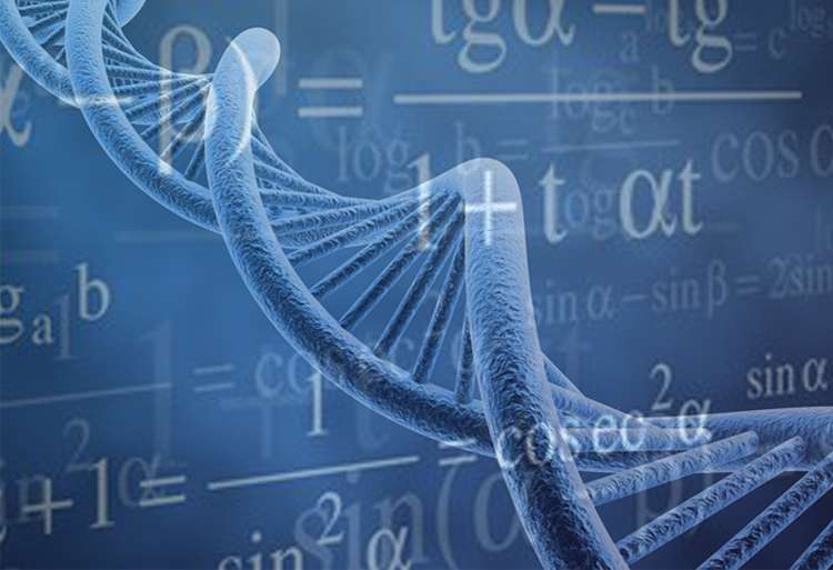 Sciences Expérimentales: que choisir, PC ou SVT ?