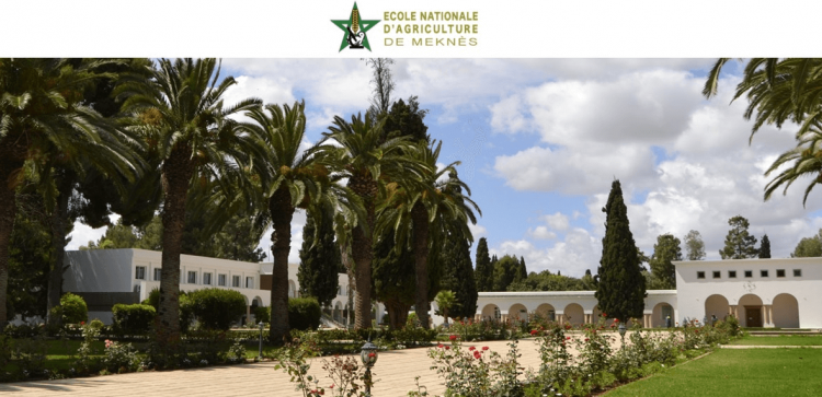 Concours d’admission à l’ENAM Meknès 2017-2018