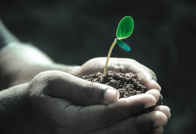 مباراة ولوج السنة الأولى تقني بالمعهد التقني الفلاحي بساحل بوطاهر تاونات 2024-2025