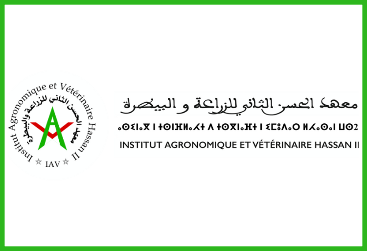 Concours d'accès à l'APESA (IAV Rabat) 2025-2026